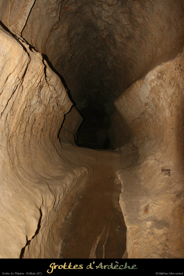 20090418_grotteplatanein06