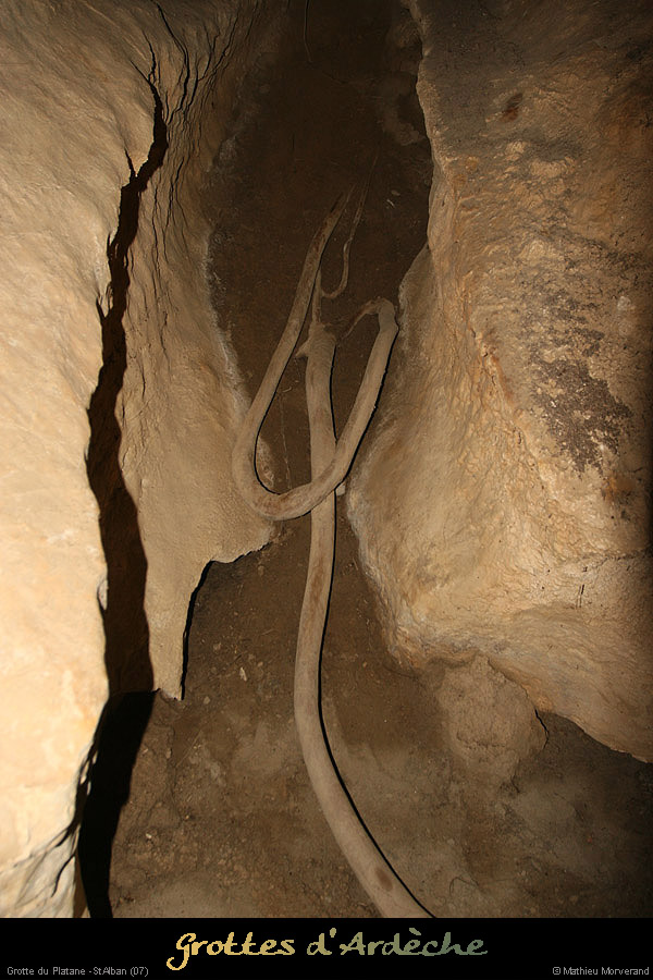 20090418_grotteplatanein07