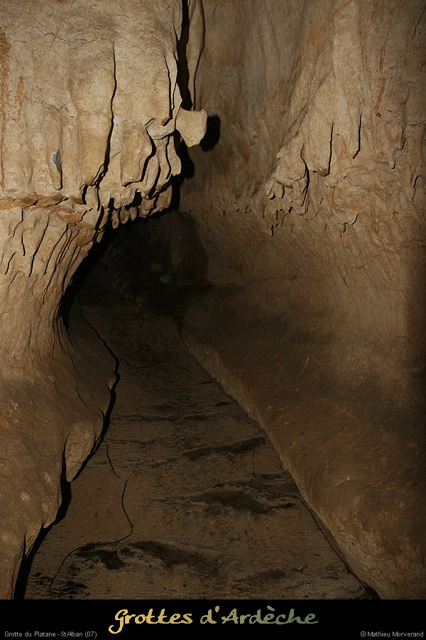20090418_grotteplatanein09