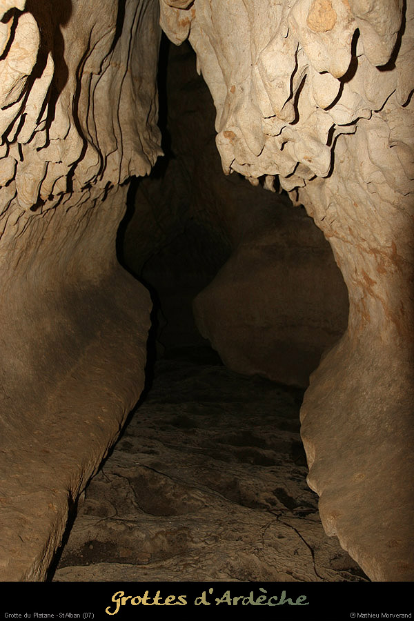 20090418_grotteplatanein11