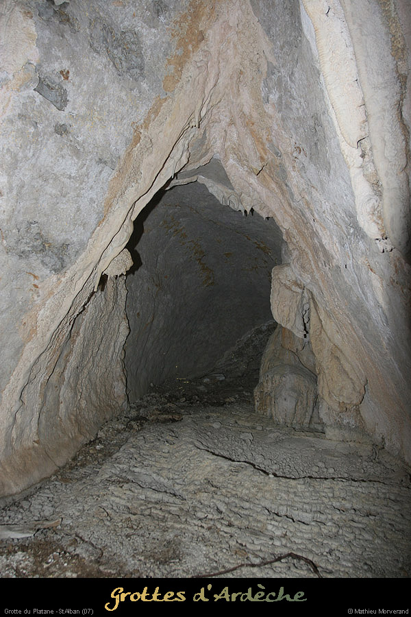 20090418_grotteplatanein21