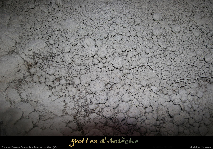 20090418_grotteplatanein22