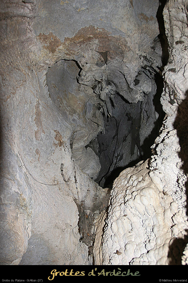 20090418_grotteplatanein25