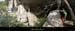 20090418_grotteplataneentree01