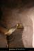 20090418_grotteplataneentree14