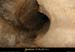 20090418_grotteplatanein10