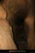 20090418_grotteplatanein35