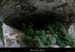 20090607_baume_cirqueplatane_grotte01