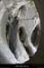 20090607_baume_cirqueplatane_grotte08