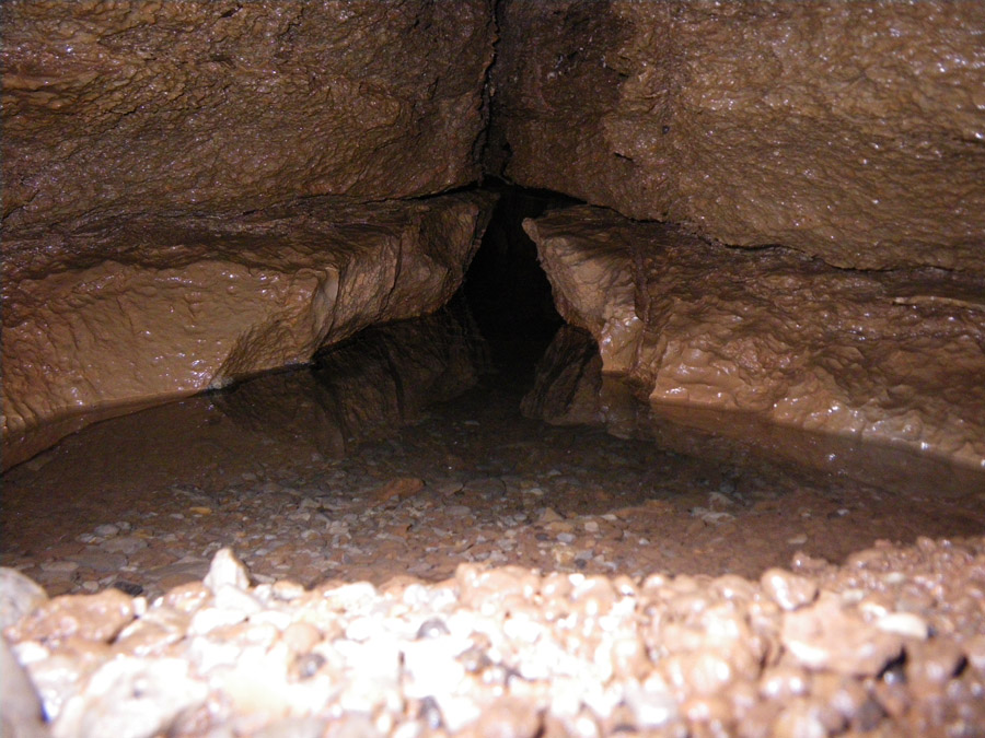 n442821e0041910_016
