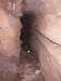 n442821e0041910_003