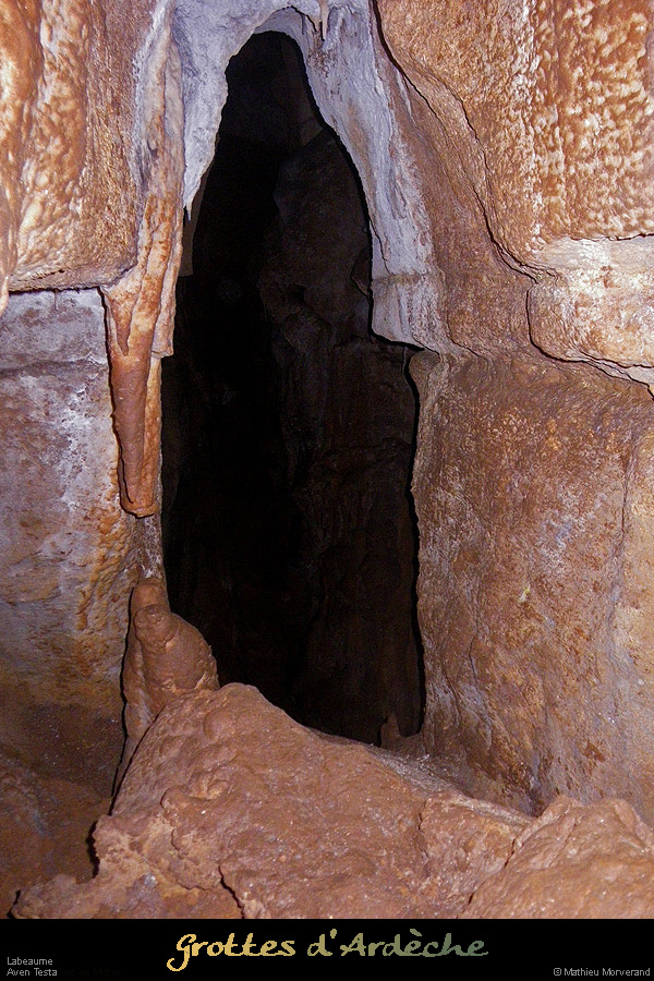 20100109testa_06