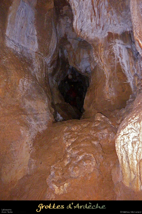 20100109testa_26
