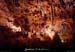 20010630_avenforestiere_12