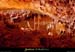 20010630_avenforestiere_28