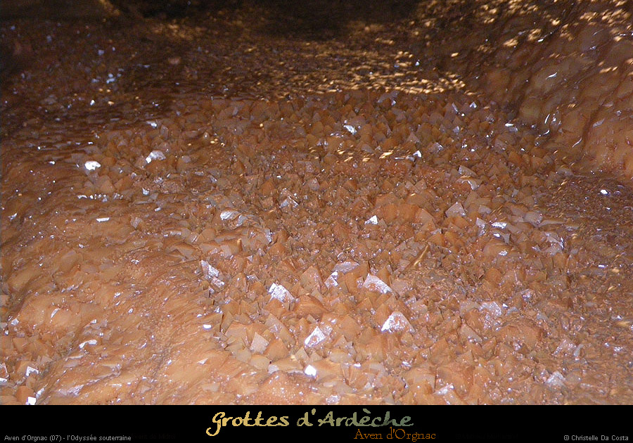 20090524_orgnac061cda