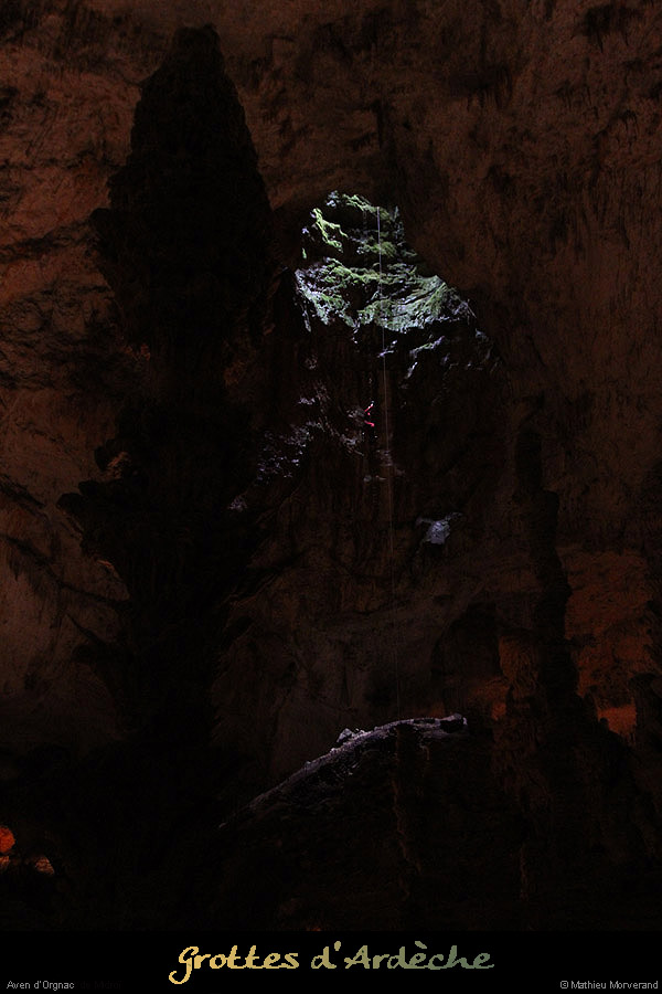 20130816_orgnac5