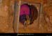 20020329_orgnaci_portedesreseaux
