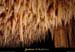 20020329_orgnacii_concretions_09