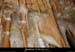 20090524_orgnac028cda