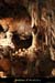 20130816_orgnac11