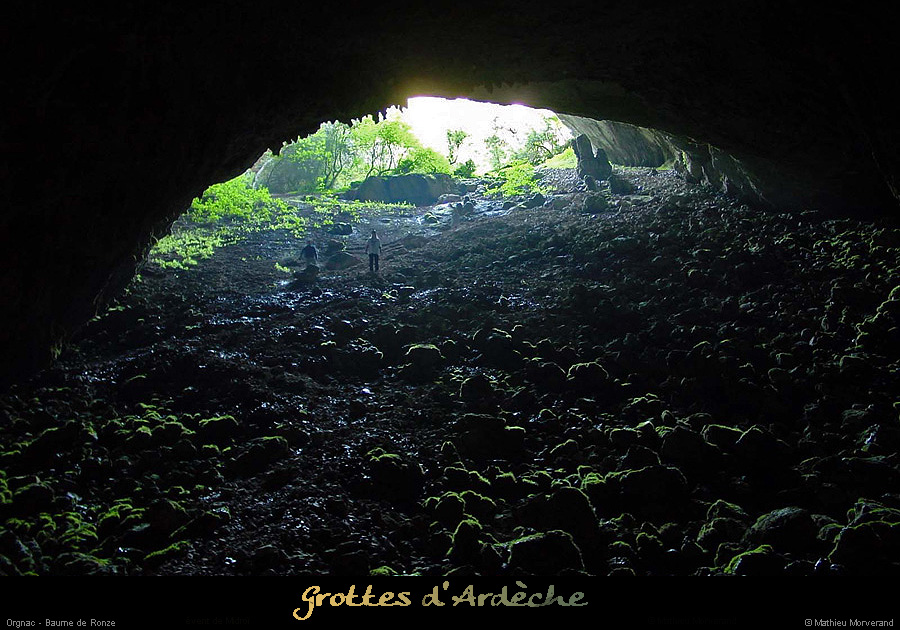 20010428_baumederonze_puitsd'enbas