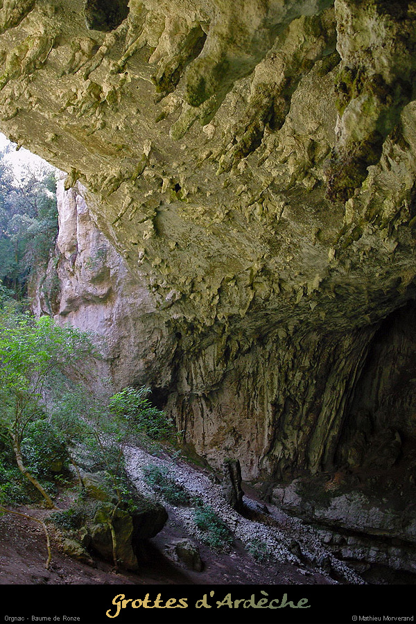 20020929_baumederonze_08