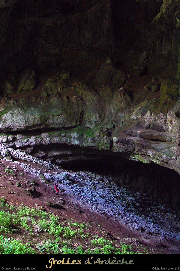 20040813_baumederonze_c2_haut_4