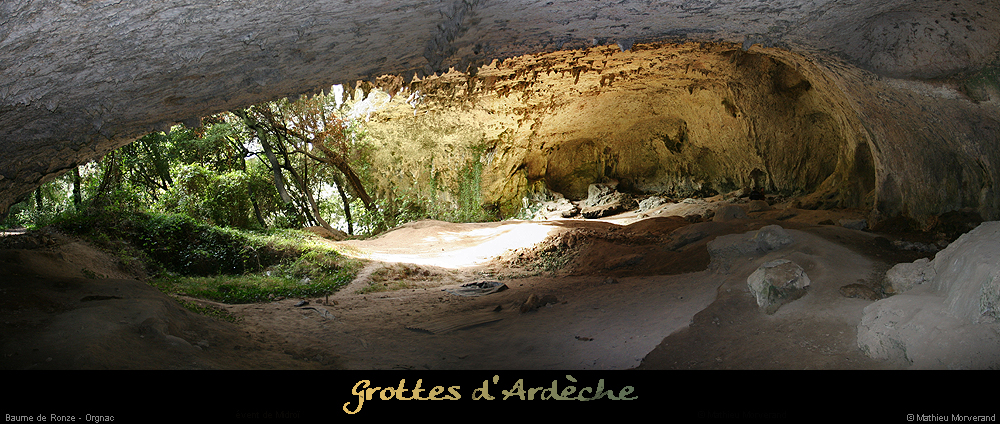 20051023_baumederonze_c1_pano1