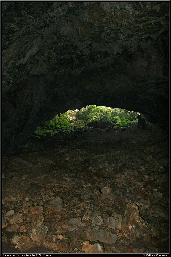 20051023_baumederonze_c2_1