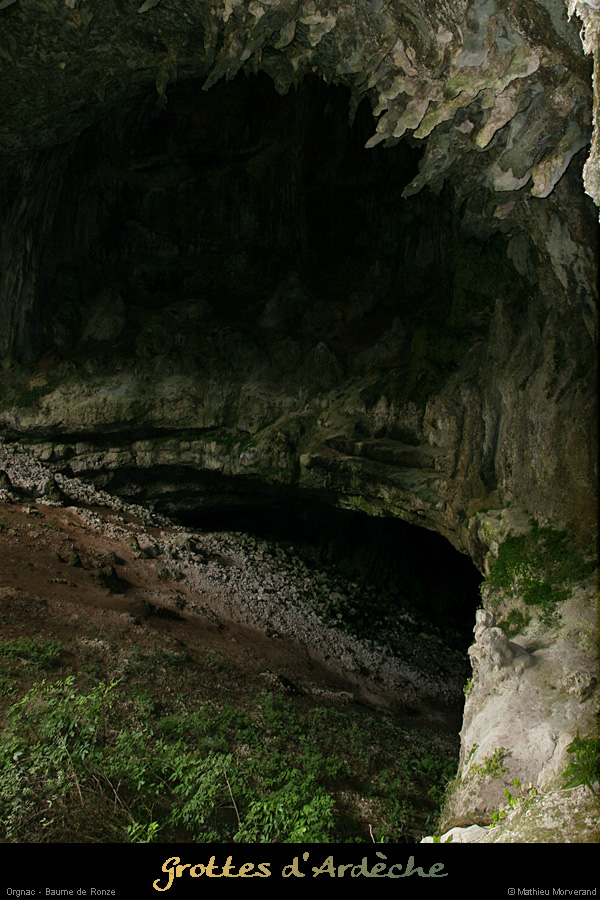 20051023_baumederonze_c2_2