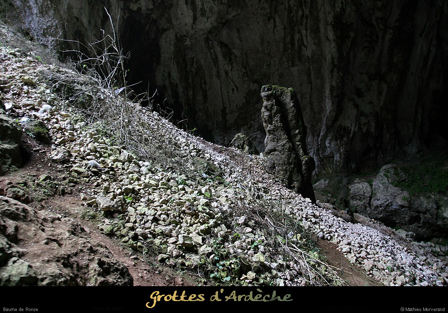 20100204_ronze17