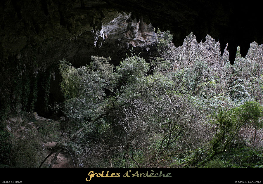 20100204_ronze34