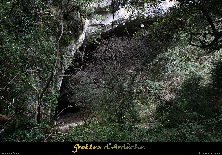 20100204_ronze49