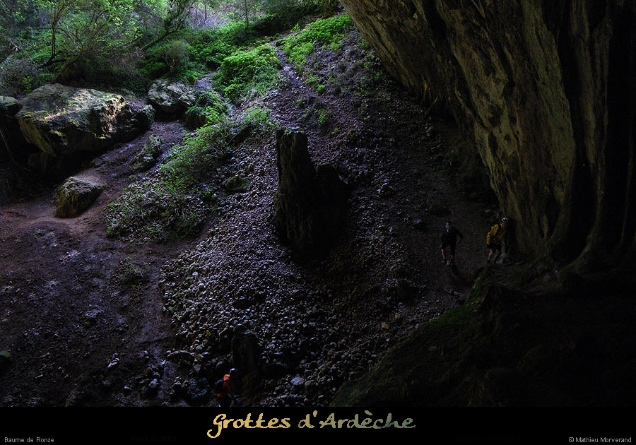 20100516_baumederonze2