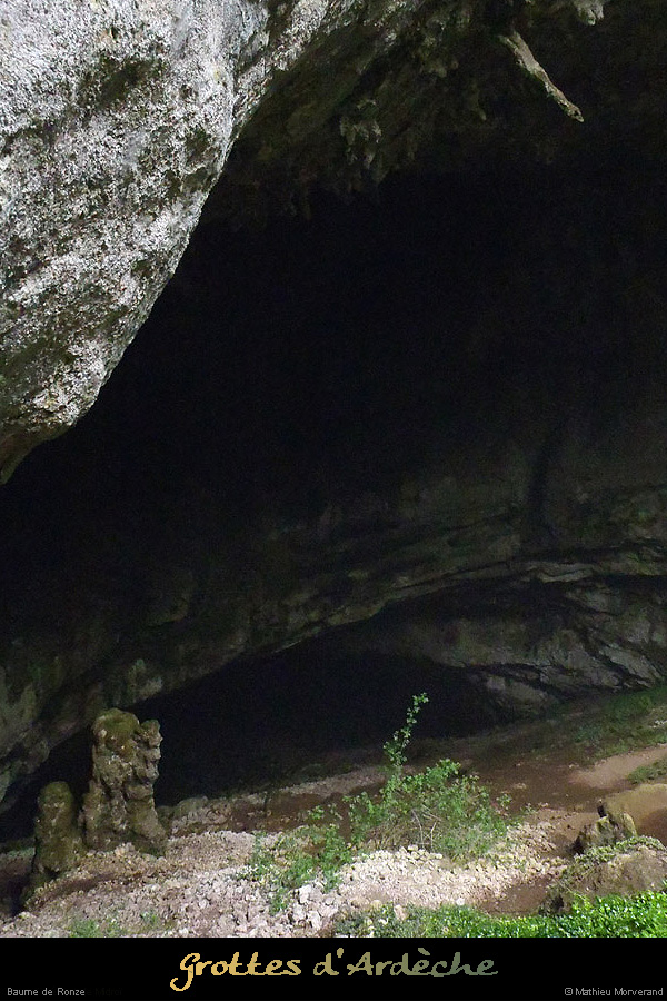 20130430_baumederonze2