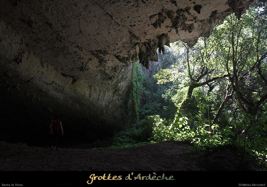 20130816_baumederonze3