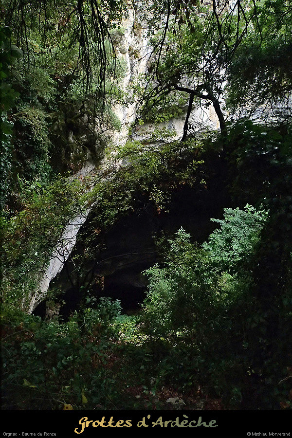 20150813_p8135614
