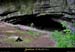20010520_baumederonze_02