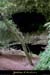 20010804_baumederonze_55