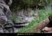 20010804_baumederonze_61