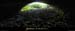 20040813_baumederonze_c2_fond_pano