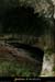 20051023_baumederonze_c2_2