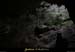 20100204_ronze33
