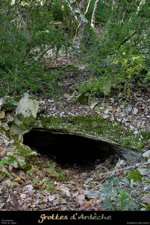 20011125_grospierres_pertedulapin_3