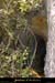 20010818_conchettes_trouest_entree_2