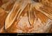 20011208_grottedesconchettes_in_14