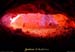 20011208_grottedesconchettes_sortie_3