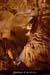 20010817_soyons_grottedurenard_12