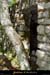20040814_fontainedevedel_00_entree